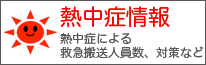 �M���Ǐ��