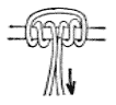 プルージツク結び（3）