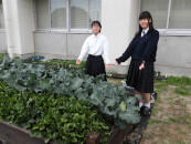 徳島県立阿南光高等学校 防災士の会（徳島県阿南市）