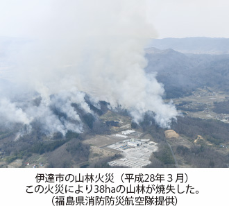 伊達市の山林火災（平成28年3月）　この火災により38haの山林が焼失した。（福島県消防防災航空隊提供）