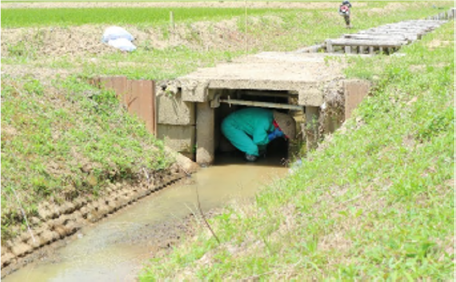 用水路の橋の下に避難する住民の写真