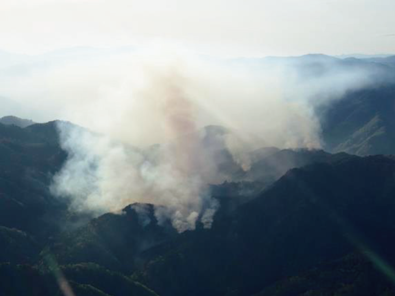 福島県浪江町及び双葉町の林野火災（平成29 年４月）の写真
