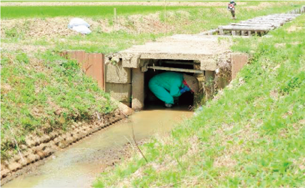 用水路の橋の下に避難する住民