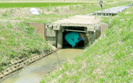 用水路の橋の下に避難する住民