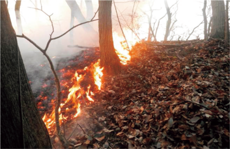 令和3年2月栃木県足利市で発生した林野火災（足利市消防本部提供）
